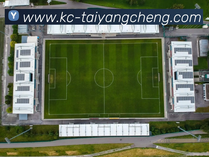 太阳城网站发展历程